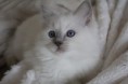 /album/bildgalleri-se-grandfavorit-tessi/img-9225-jpg/